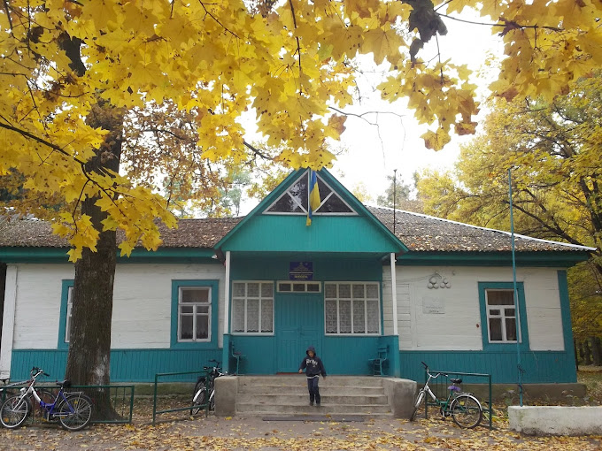 Дворищенська гімназія Житомирської області